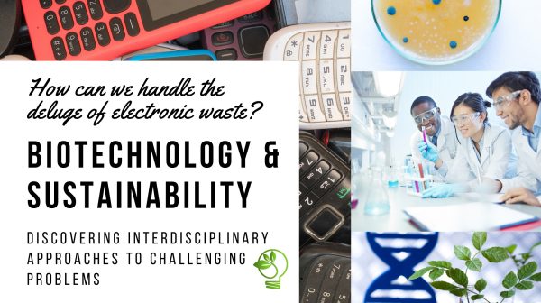 BIT 295 Biotechnology and Sustainability flyer