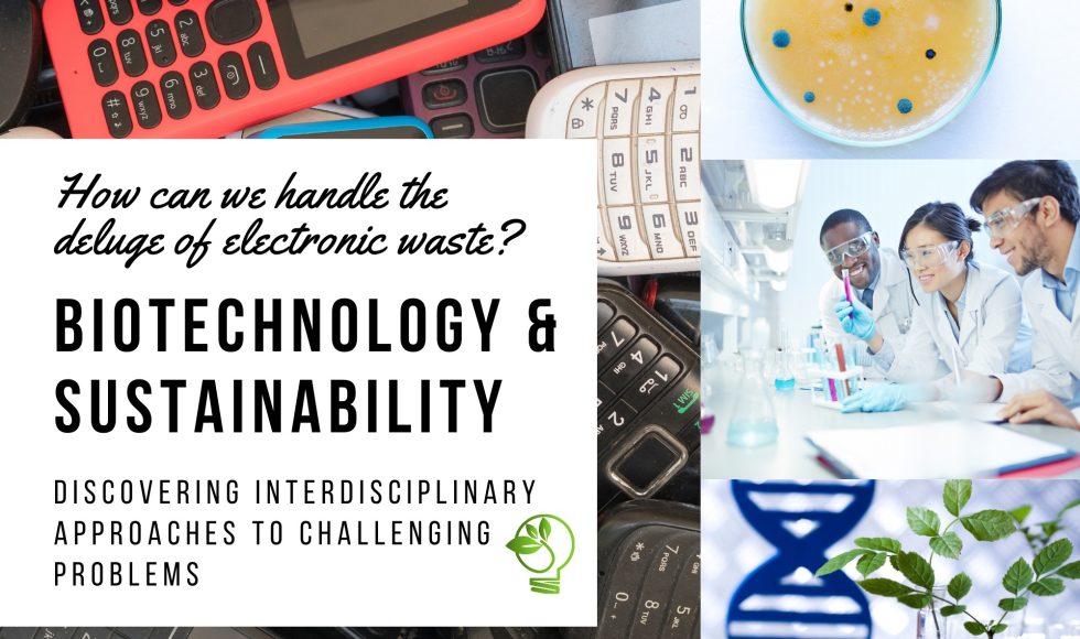 BIT 295 Biotechnology and Sustainability flyer