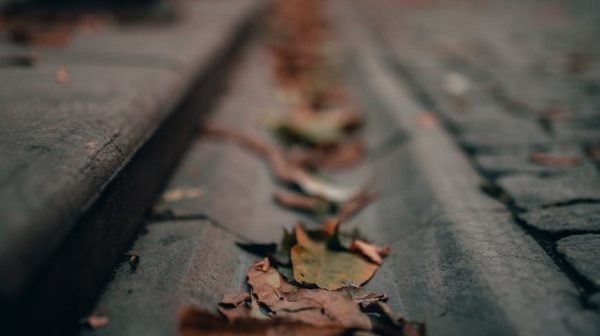 pexels-photo-4464604