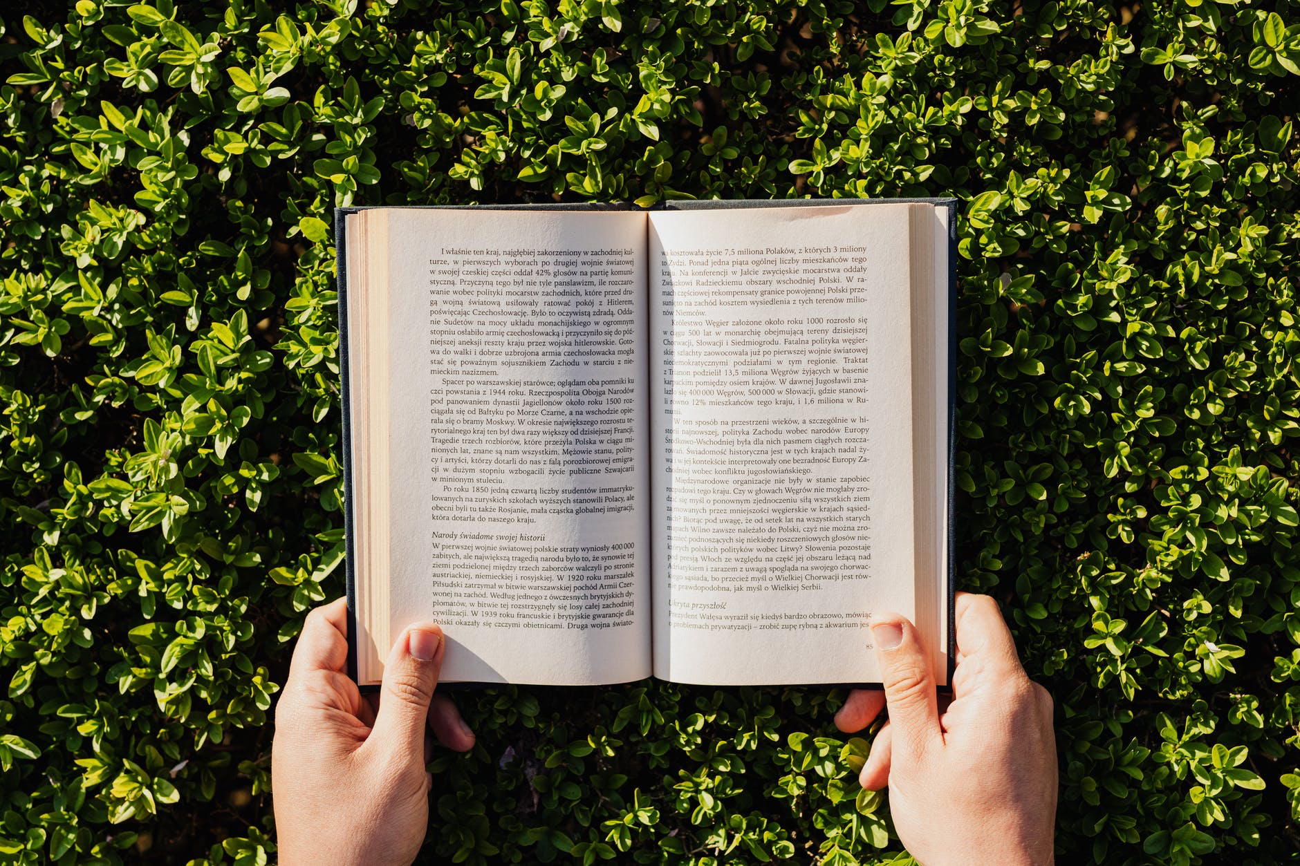Photograpg of open book held by habds over grass.