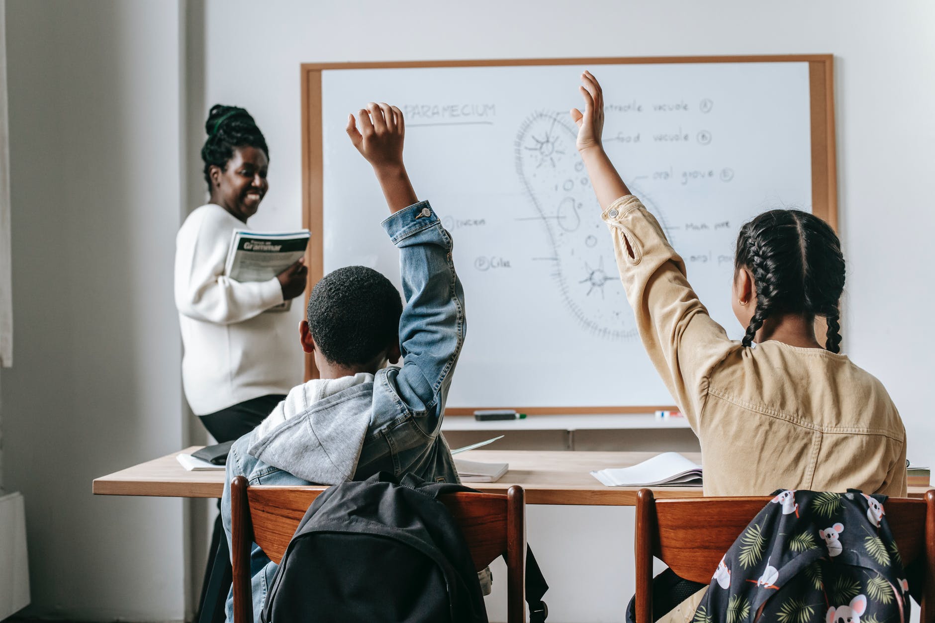 The back of two black students raising their hands to ask a question during a science class. The teacher is at the front of the class, and a cell with labels is visible on the whiteboard.