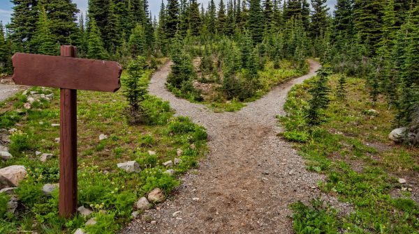 Photo by James Wheeler on Pexels.com
