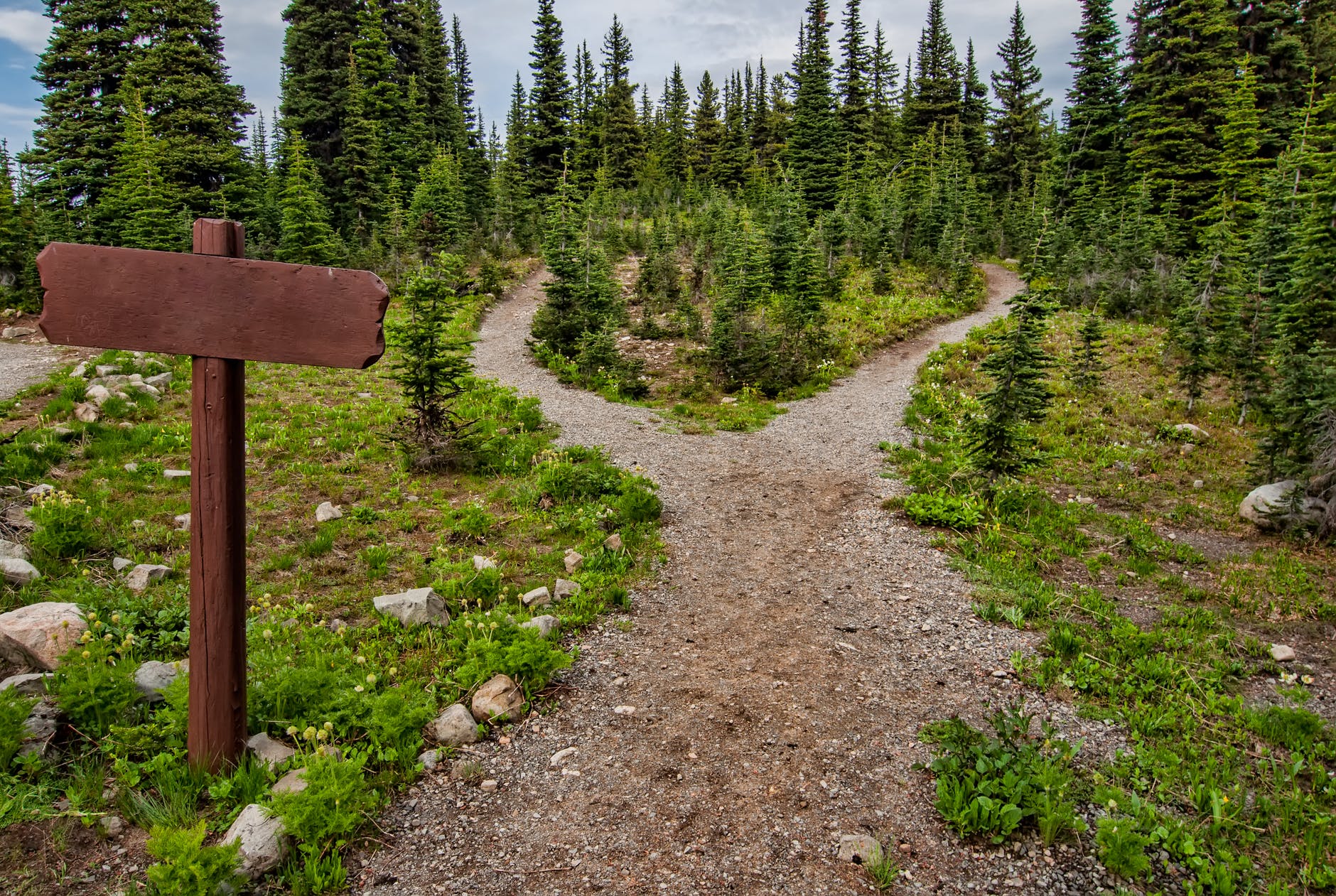 Dirt pathway that turns into two with woods in the background and a wooden sign on the left.