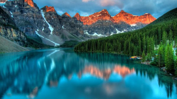 Photo by James Wheeler on Pexels.com