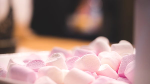 Photo by Tembela Bohle on Pexels.com