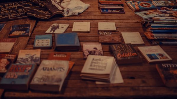 Photo by Ekrulila on Pexels.com