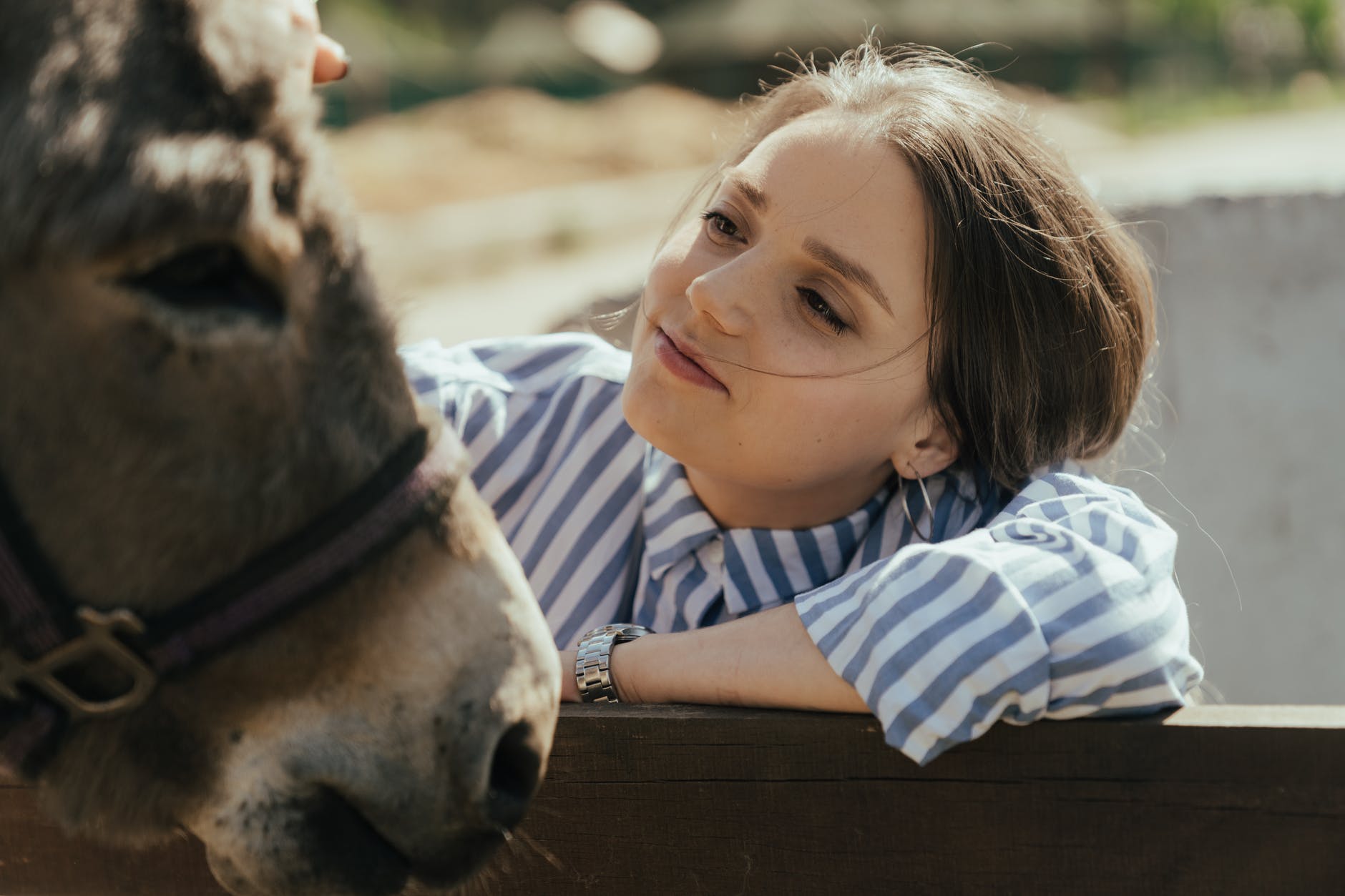 Woman petting donkey