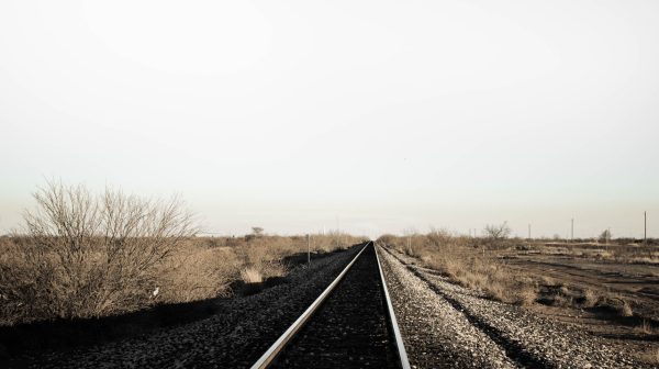 Photo by Mizzu  Cho on Pexels.com