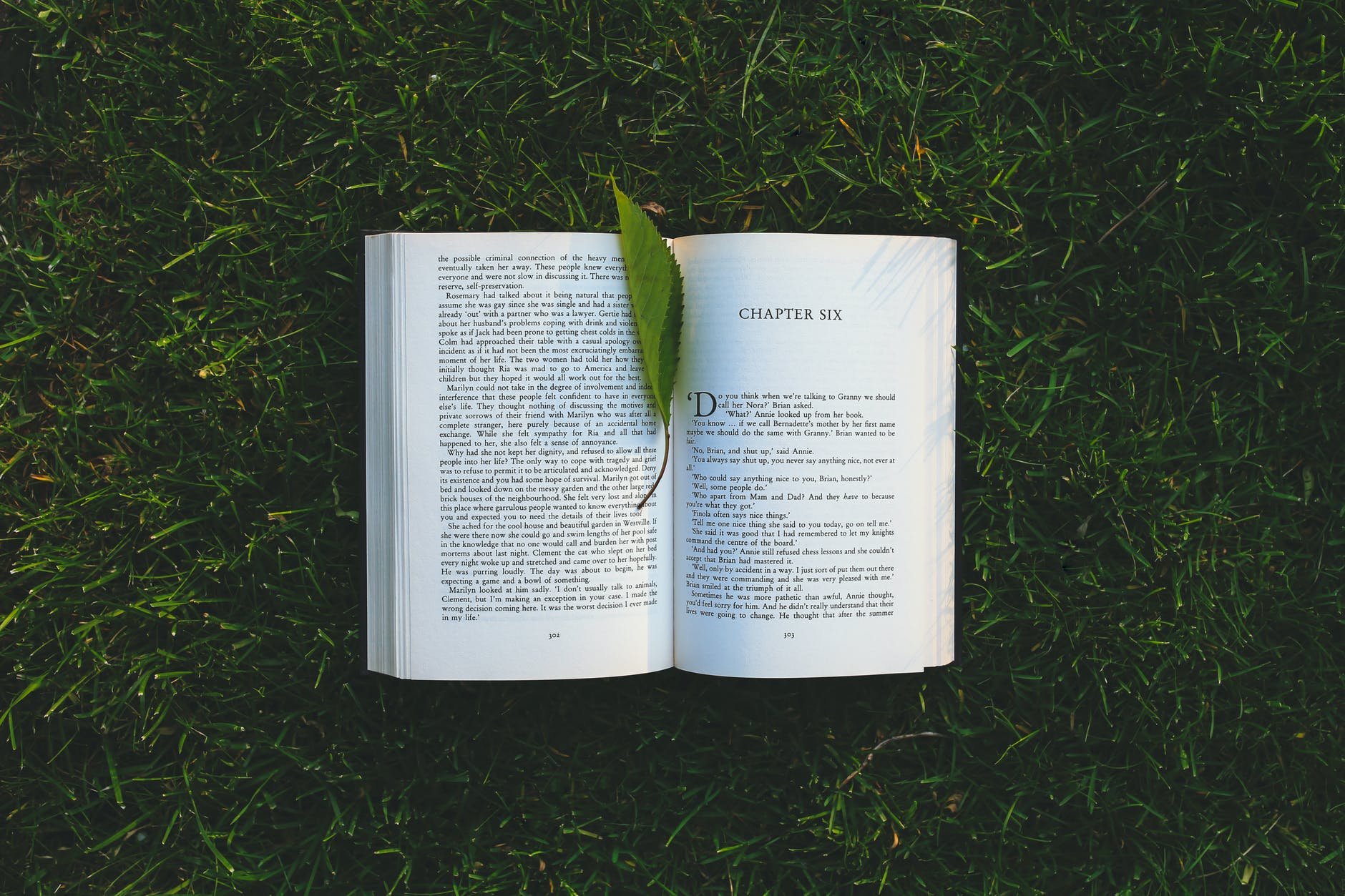 Open book on grass with green leaf used as book mark.