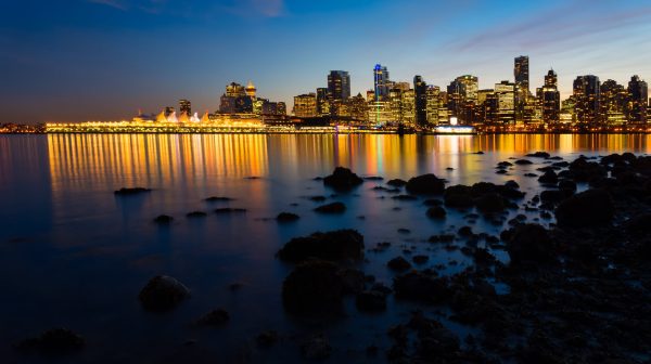 Photo by James Wheeler on Pexels.com