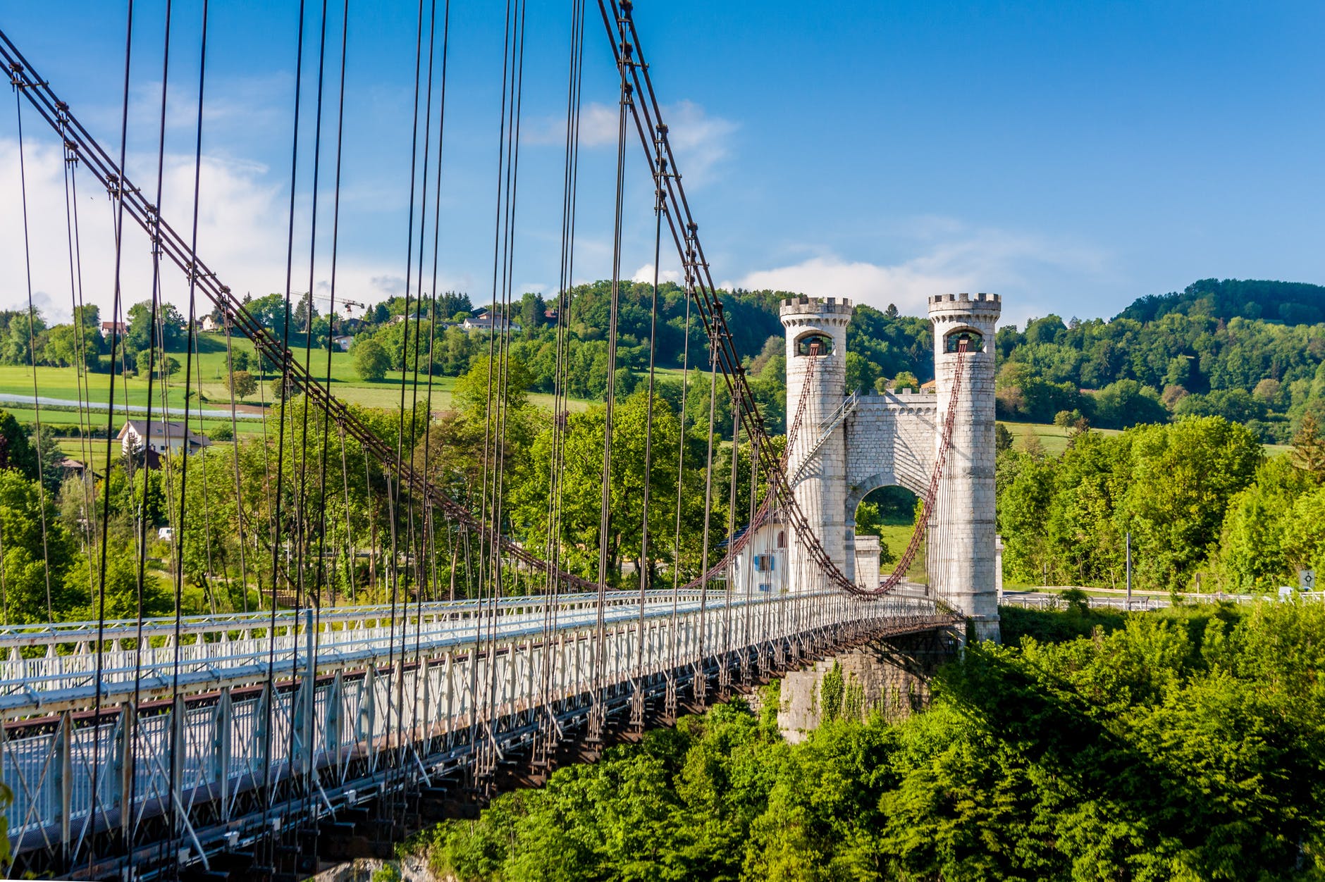 Suspension bridge over forest.