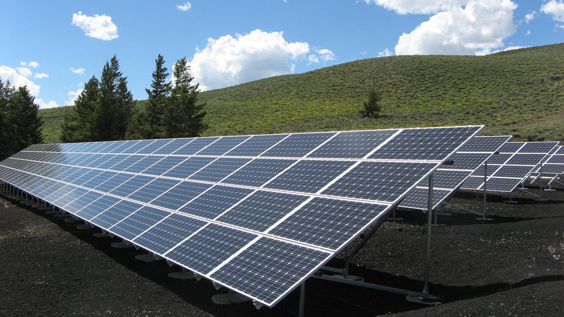 Solar panels in field