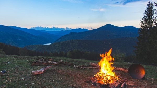 Photo by Vlad Bagacian on Pexels.com