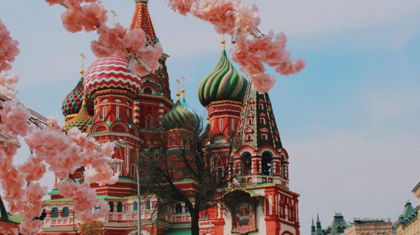 Photo by vierro on Pexels.com