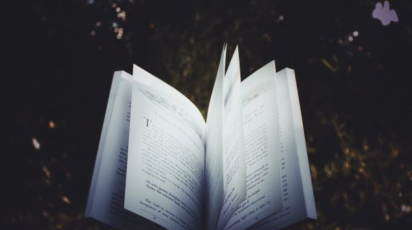 Photo by Victor on Pexels.com