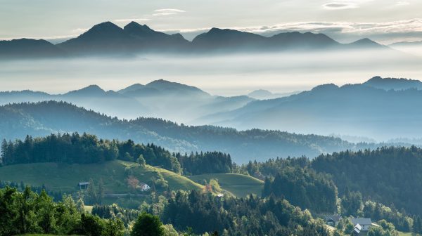 Photo by Krivec Ales on Pexels.com