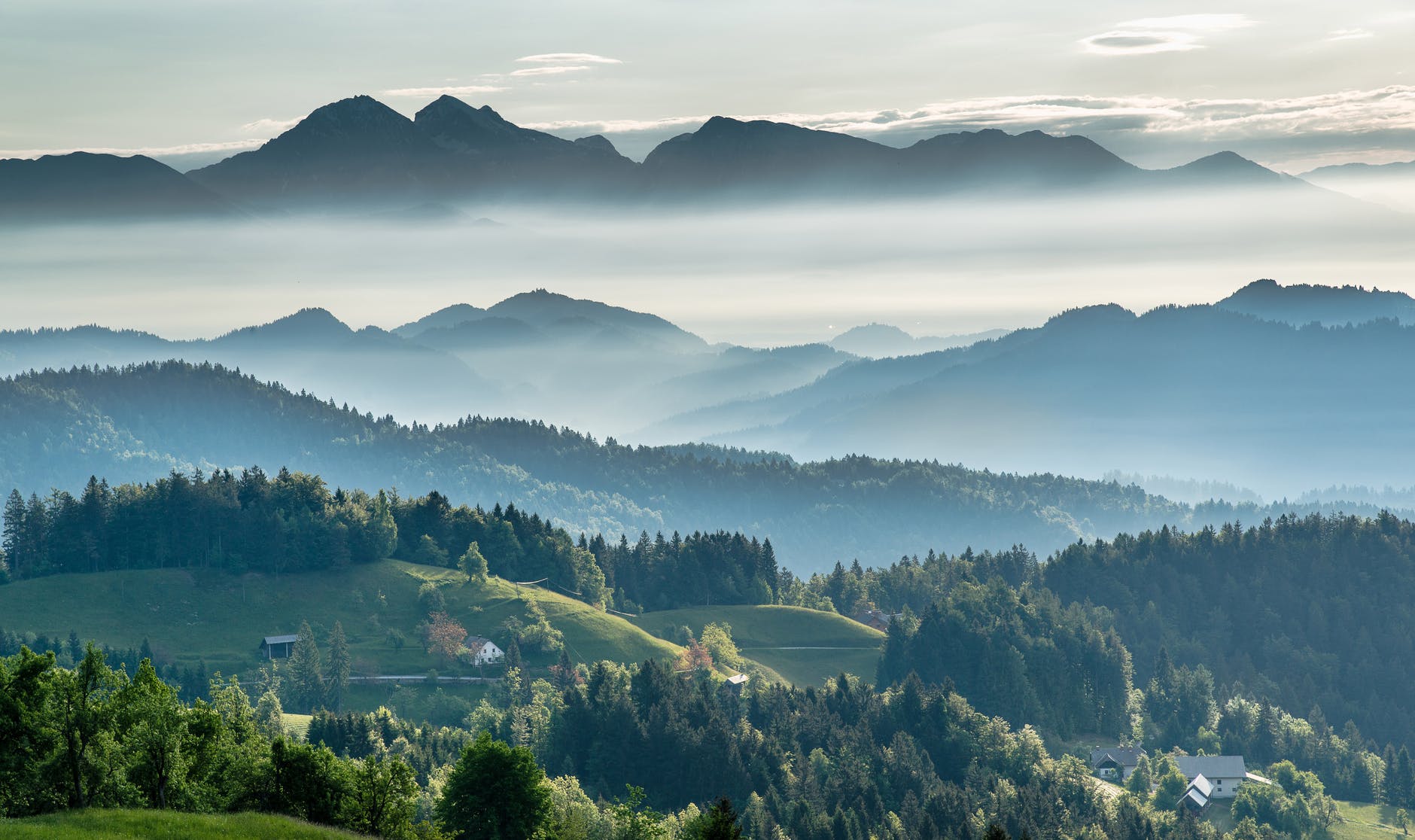 mountainous valley with evergreen forest... with mist