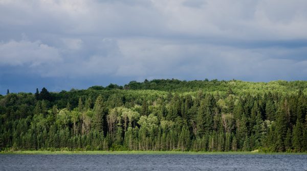 Photo by Dan Hussey on Pexels.com