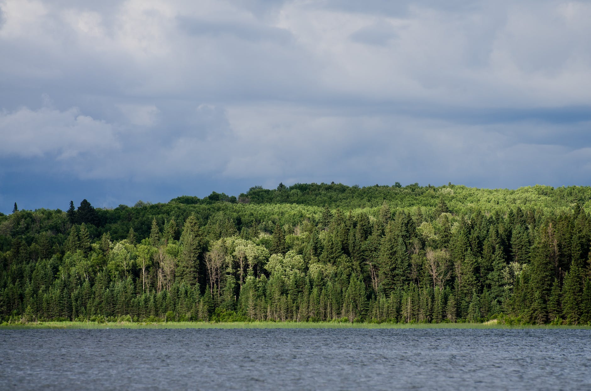 water and trees in the distance