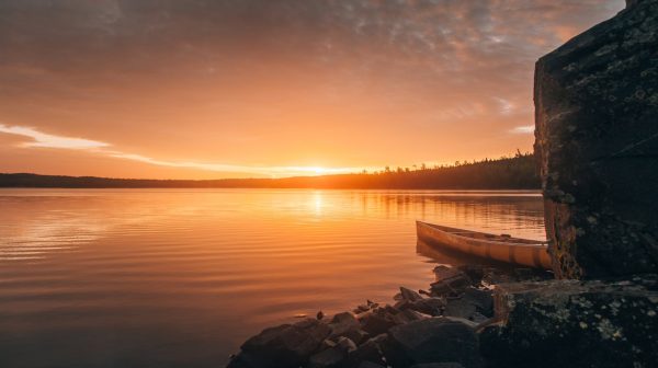 Photo by Josh Hild on Pexels.com