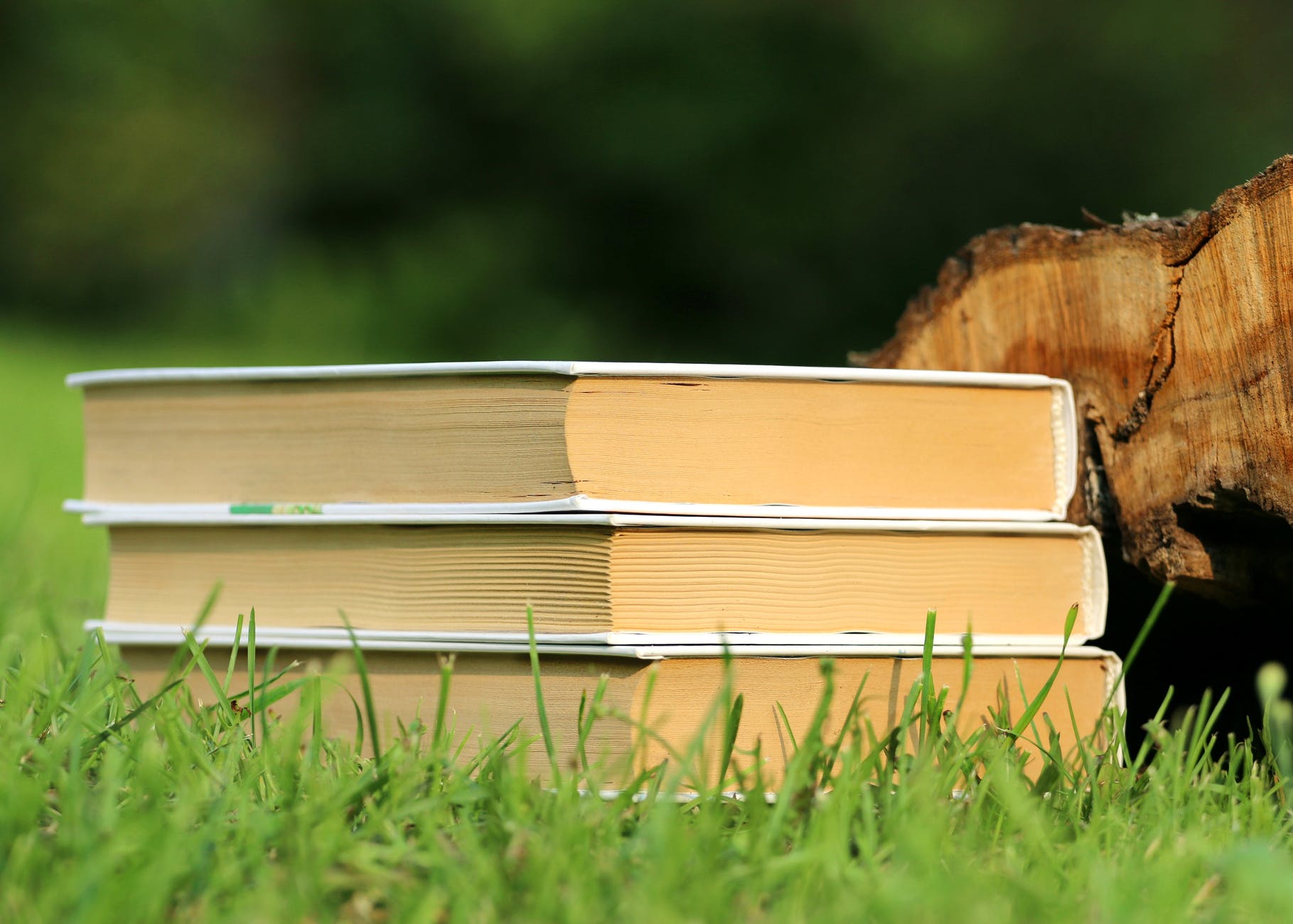 stack of three books on grass