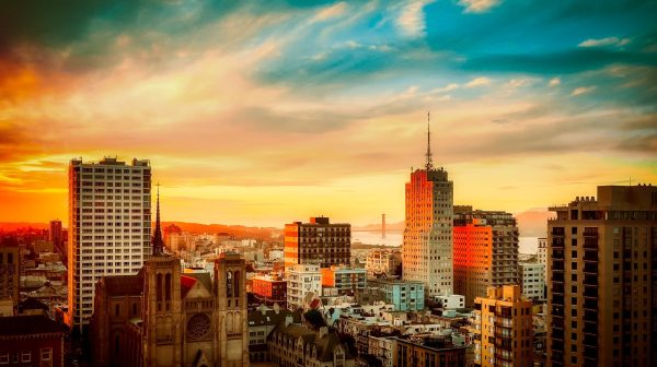 Photo by Pixabay on Pexels.com