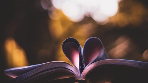 Photo by Rahul Pandit on Pexels.com