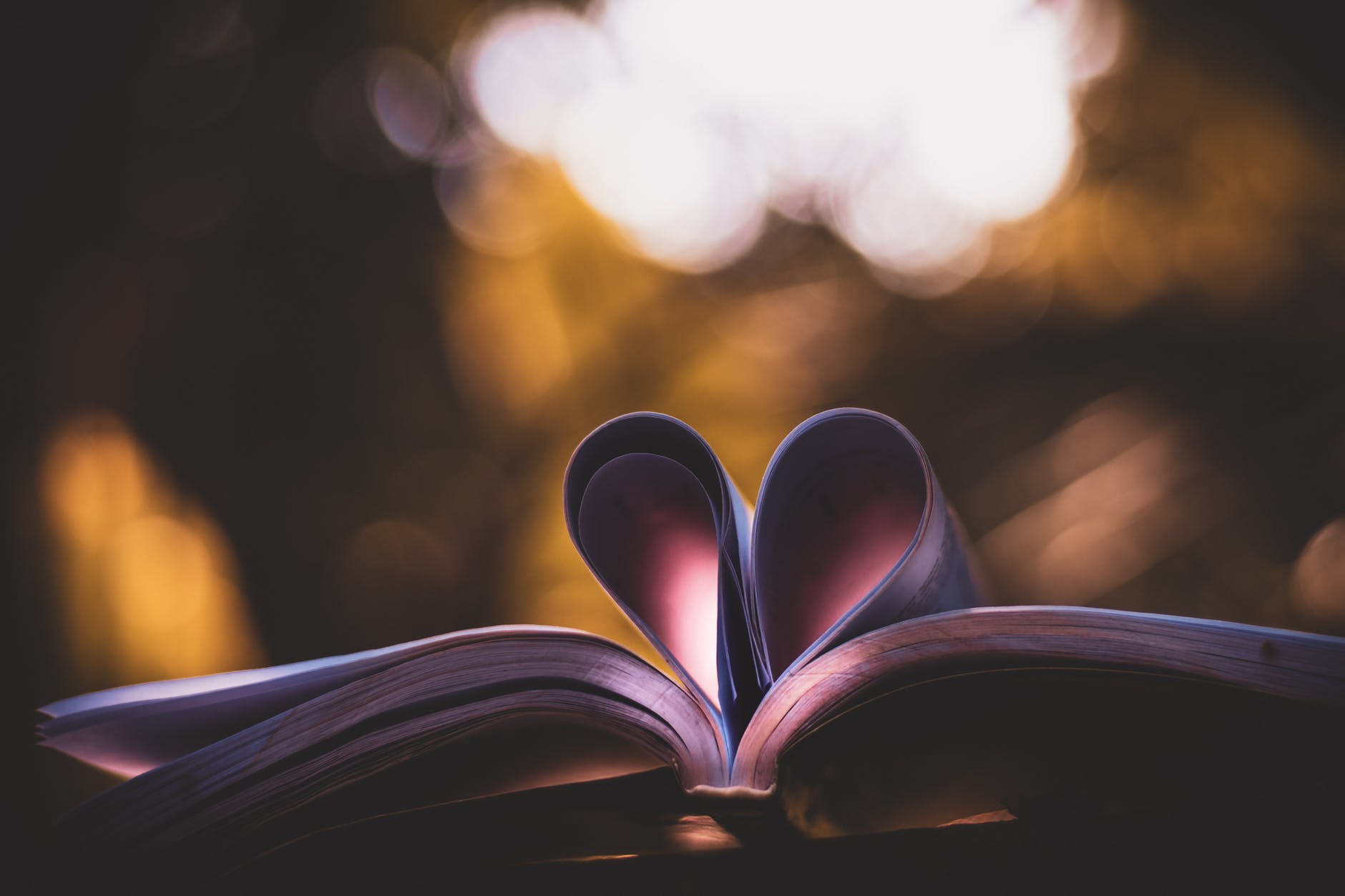 Open book with folded pages forming heart