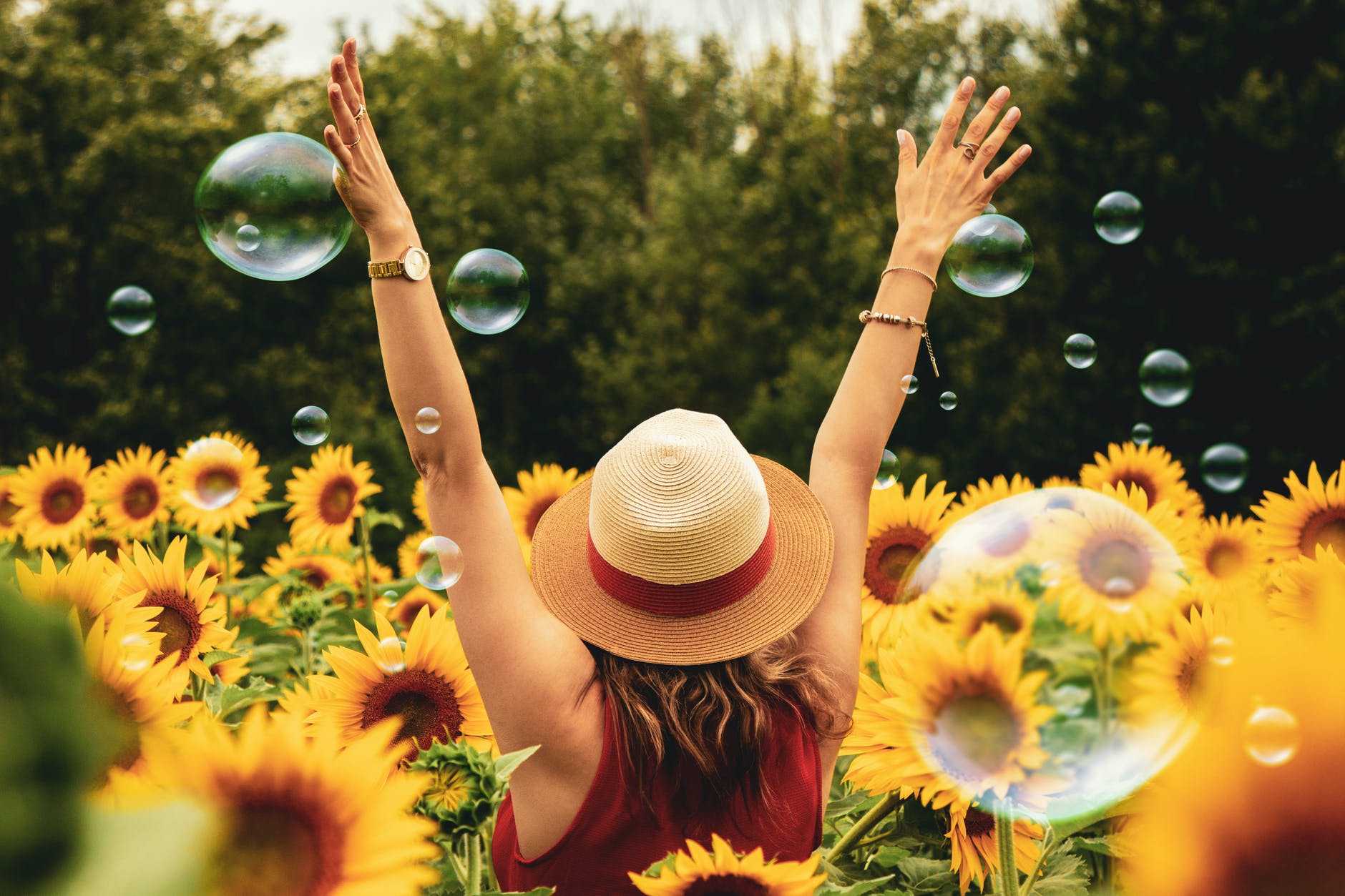 person facing away from camera in field with sunflowers and bubbles. Their hands are raised, and they are wearing a hat.