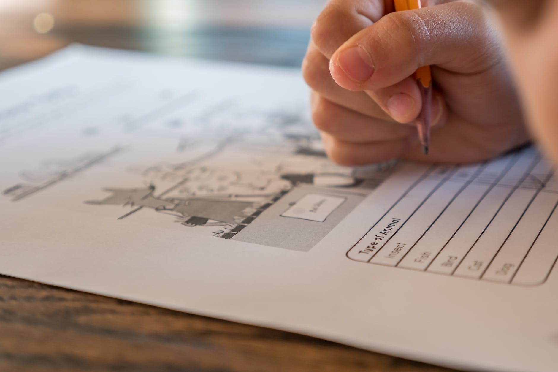 paper test and hand holding pencil