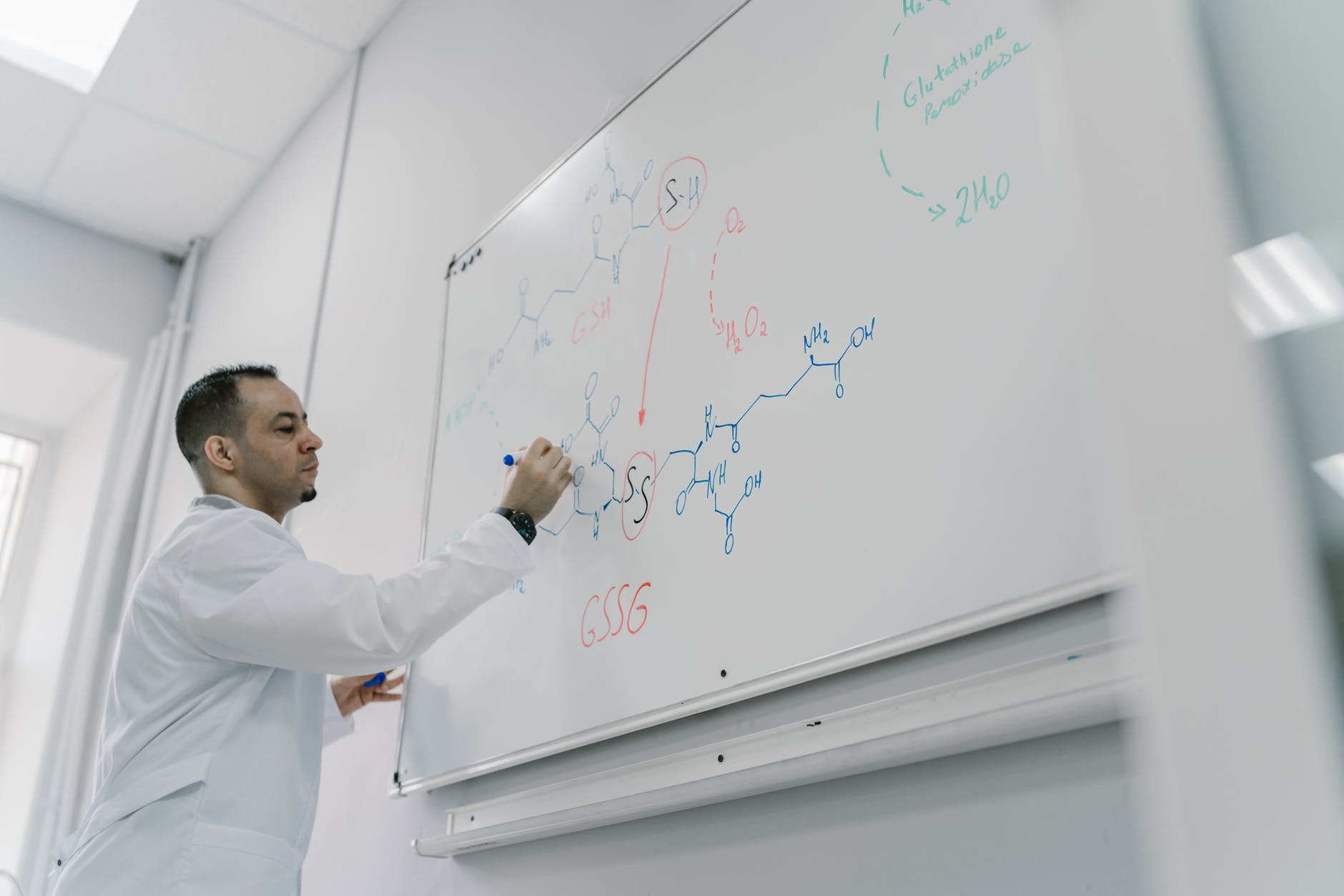 Man drawing chemical structures on whiteboard