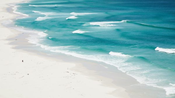 Photo by Laker on Pexels.com