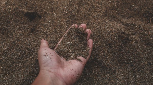 Photo by Muffin Creatives on Pexels.com