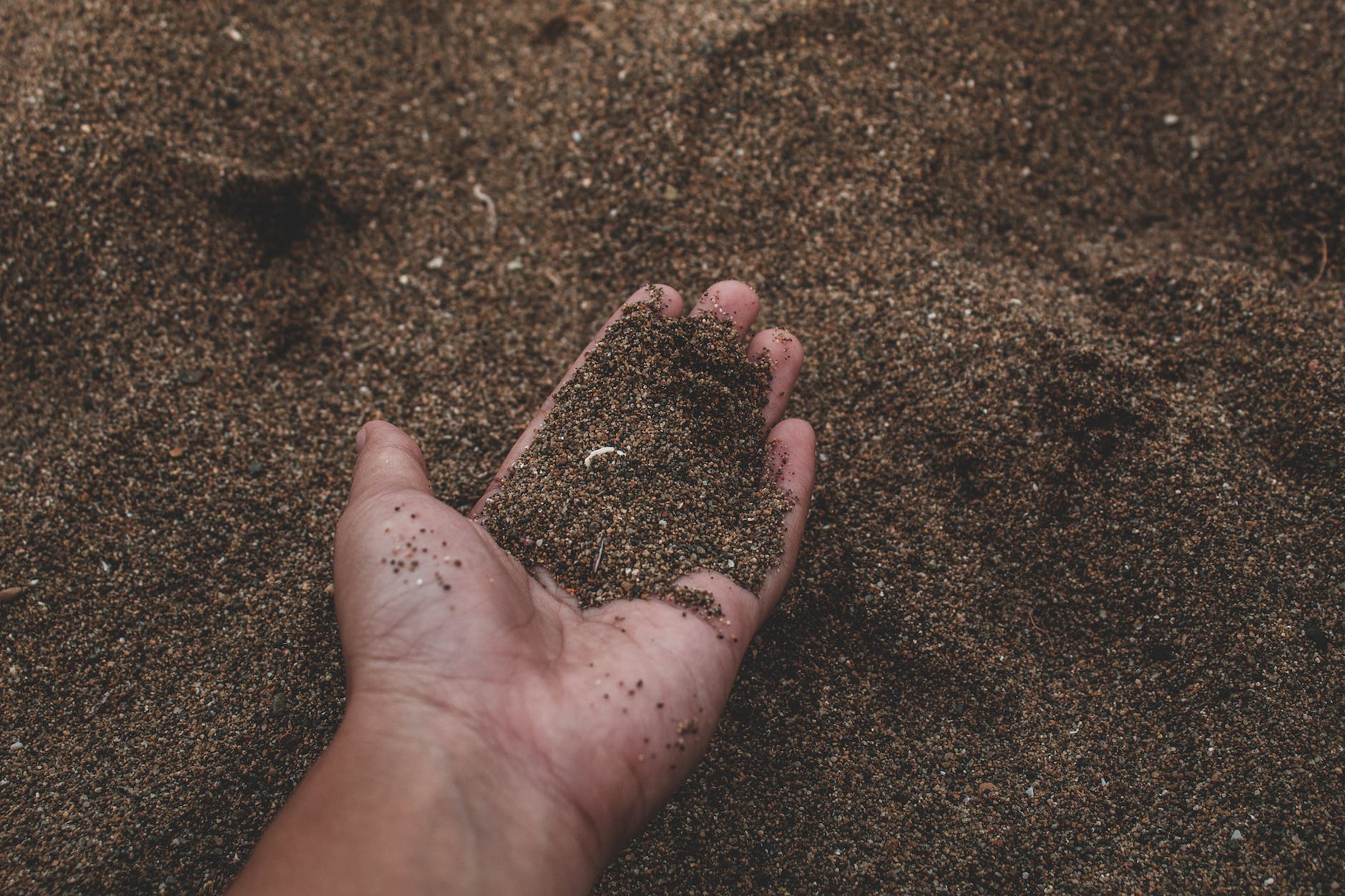 Open palm holding dirt