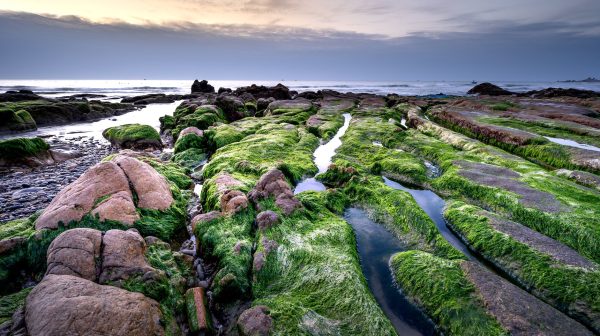 Photo by Quang Nguyen Vinh on Pexels.com