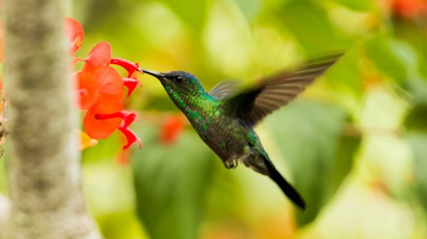 Photo by Djalma Paiva Armelin on Pexels.com