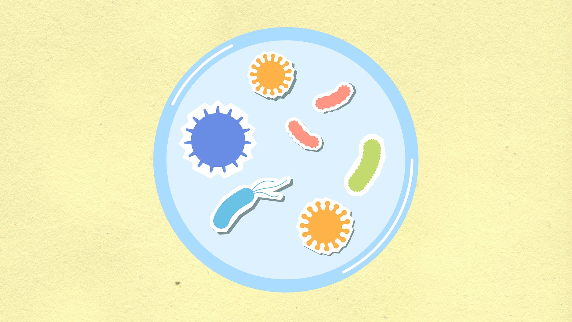 Illustration of plate with bacteria and viruses