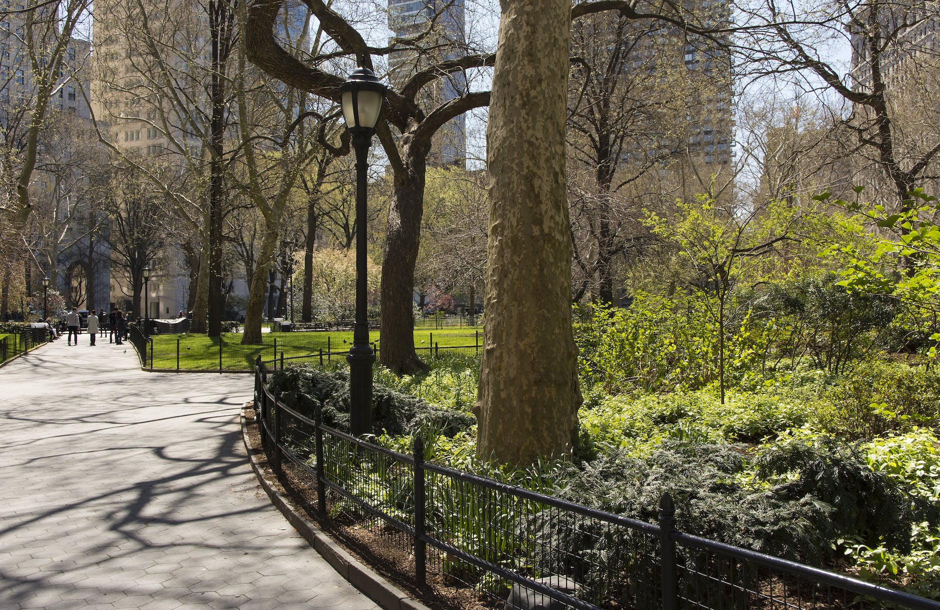 park and path with lots of trees and buildings in the distance