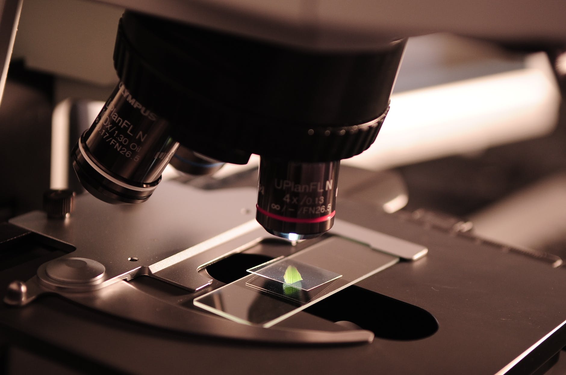Close-up of a microscope