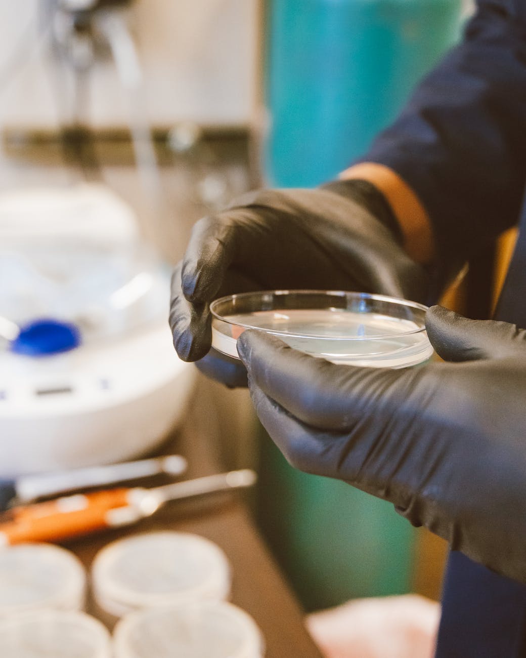 Gloved hands holding open Petri dish