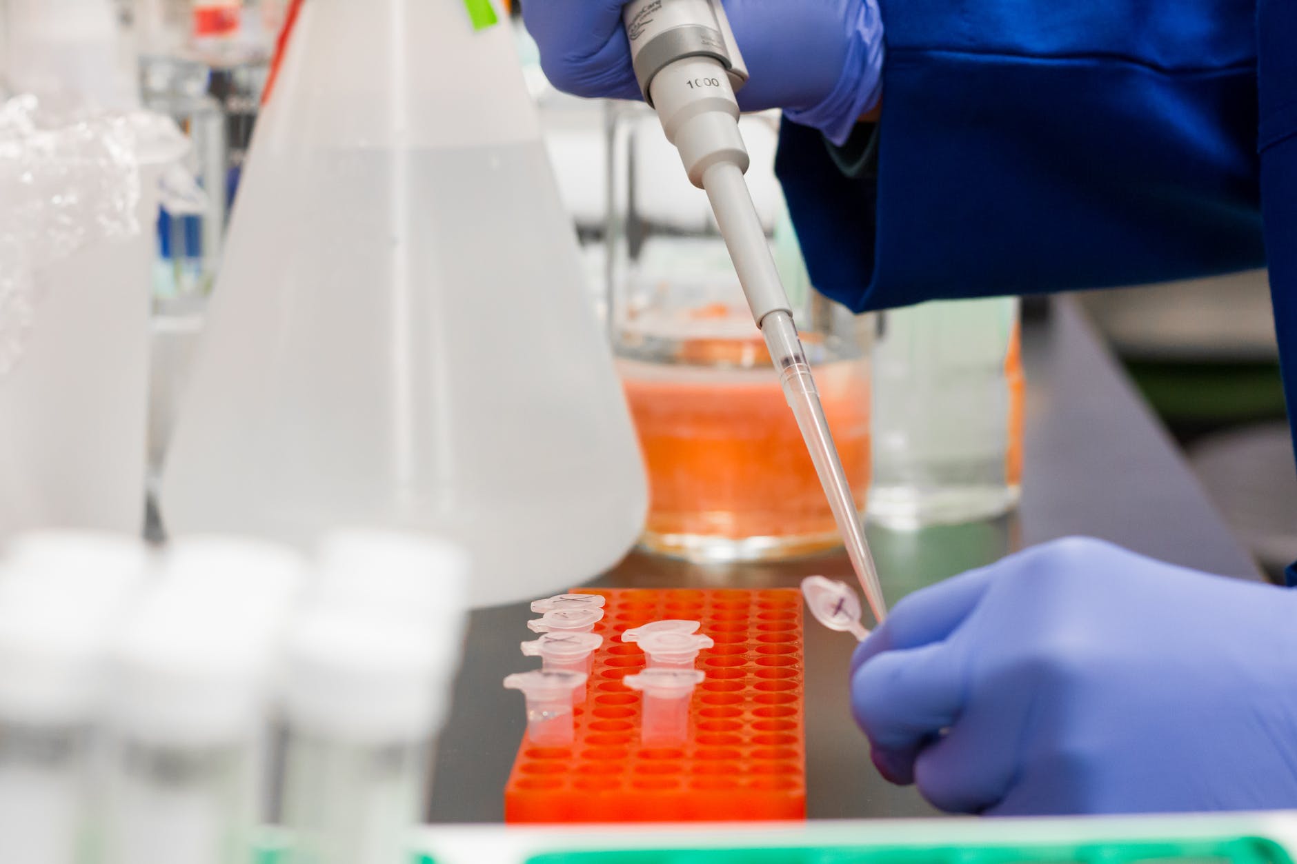 person pipetting into tube