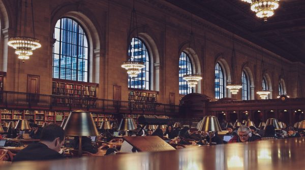 Photo by Oscar Ovalle on Pexels.com
