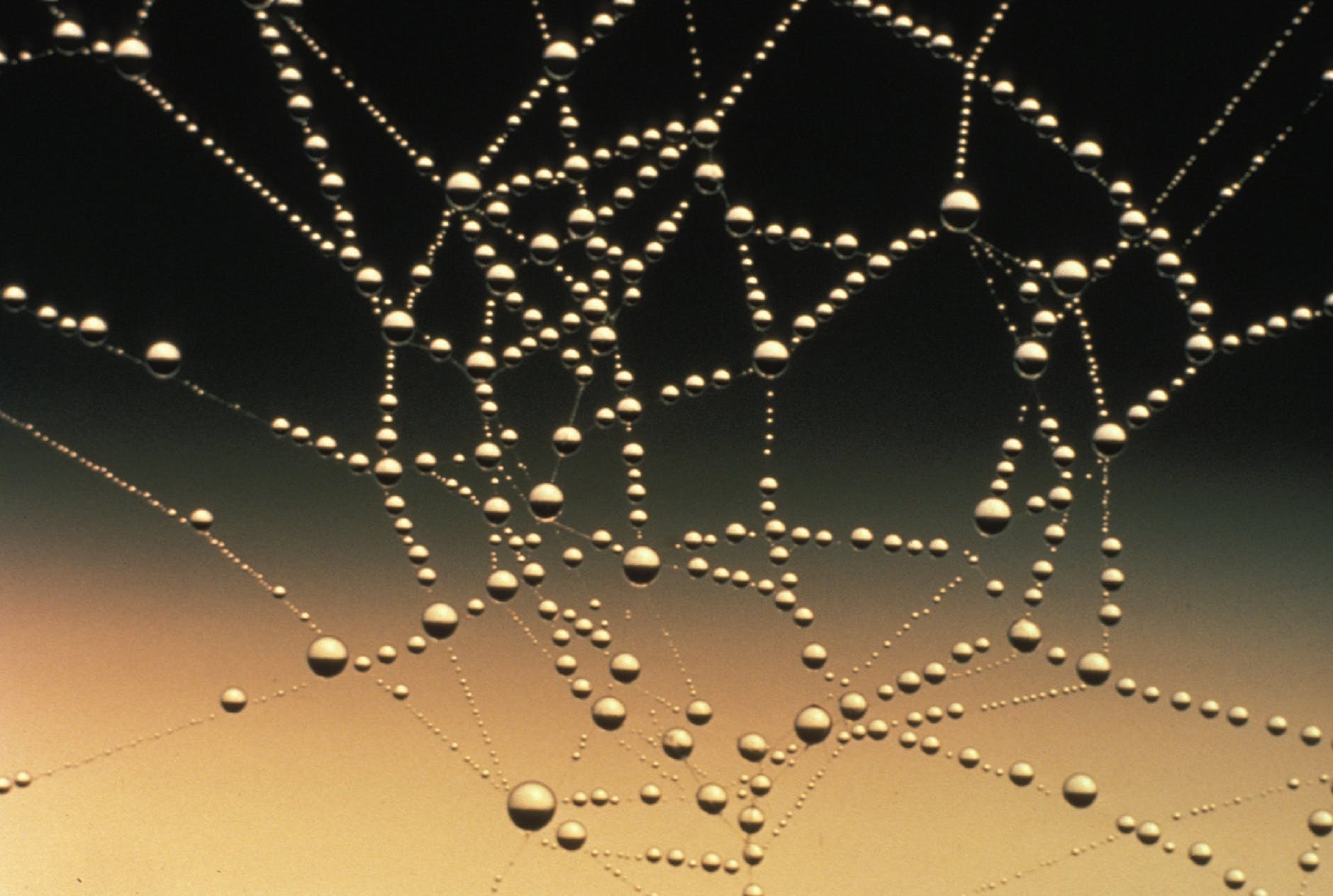 close up of water drops forming strings