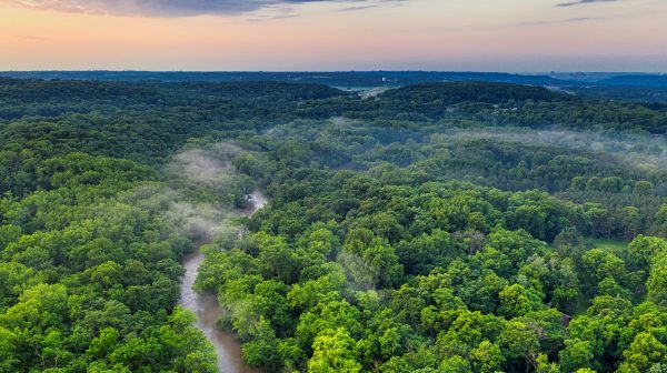 Photo by Tom Fisk on Pexels.com