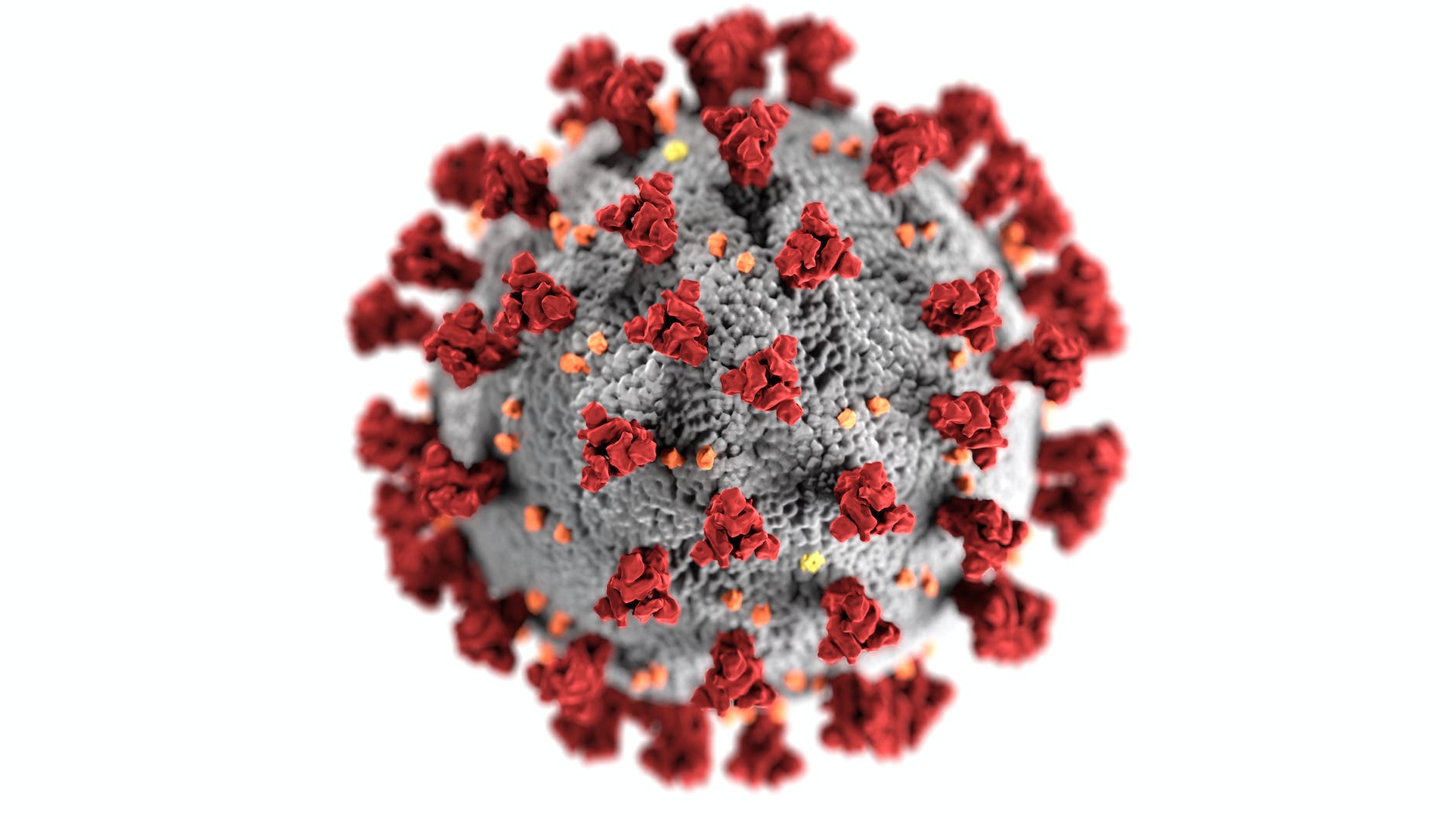 Coronavirus 3D rendering