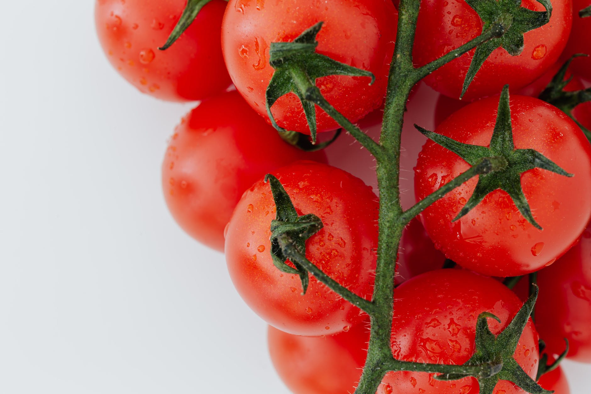 Red tomatoes on vine