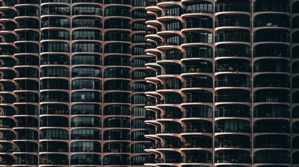 Photo by Rihards Sergis on Pexels.com