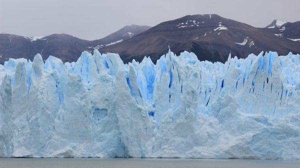 Photo by Claudio Mota on Pexels.com