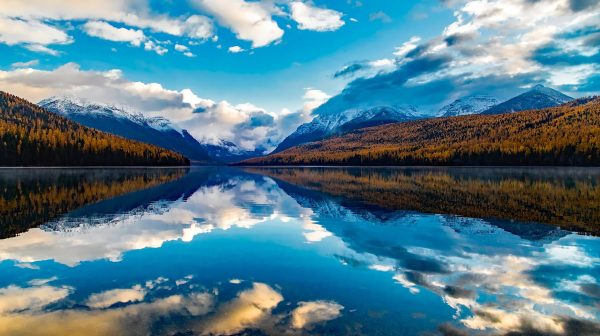 Photo by Pixabay on Pexels.com