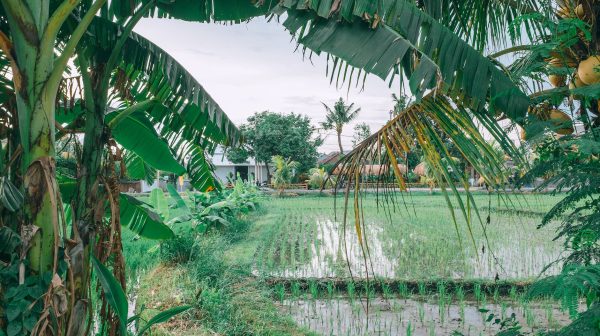 Photo by Maria Orlova on Pexels.com